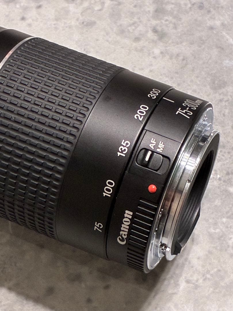 ⭐️美品⭐️ Canon EF 75-300mm F/4-5.6 III 望遠レンズ