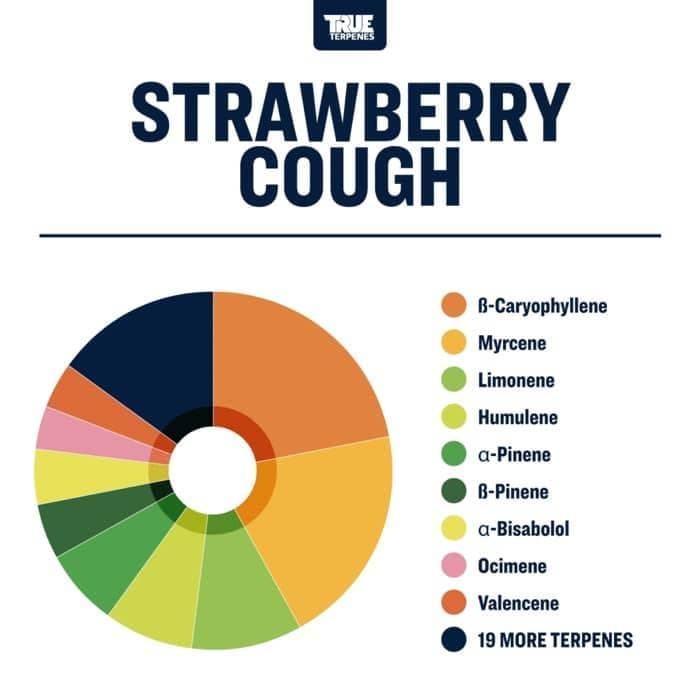 TRUE テルペン 香料 CBD CBN 10ml ストロベリーライムエード