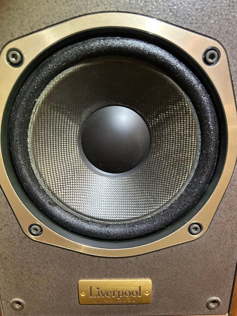 ONKYO Liverpool D-500 エッジ張り替え済