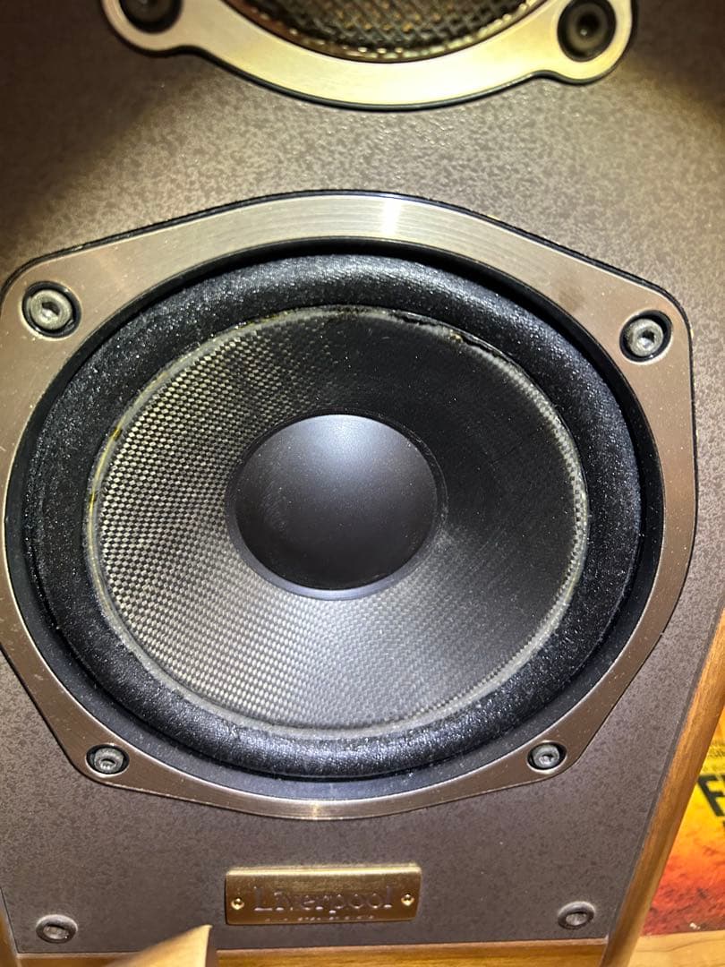 ONKYO Liverpool D-500 エッジ張り替え済
