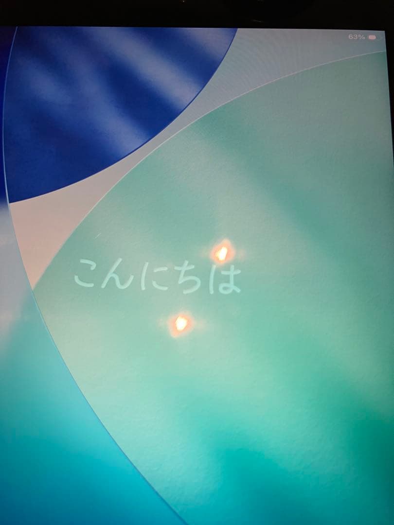Apple iPad mini5 wifi 256GB スペースグレー 本体
