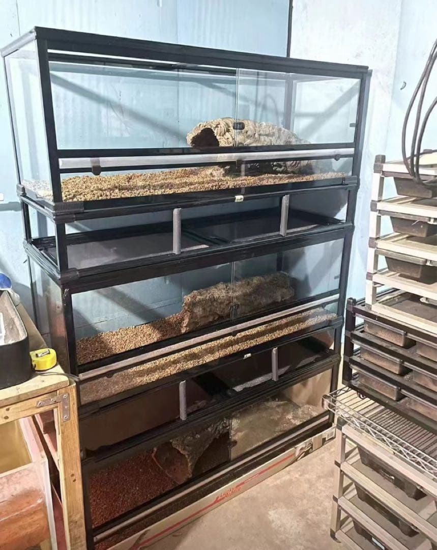 爬虫類用品卸 爬虫類飼育ガラスケージ両生類飼育ケージ603030(cm)送料込み
