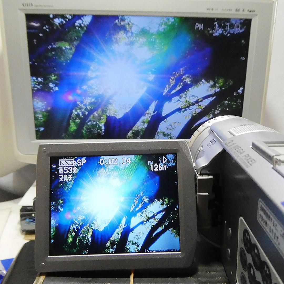 動作良好 パナソニック NV-GS100 MiniDVビデオカメラDVD化に最適