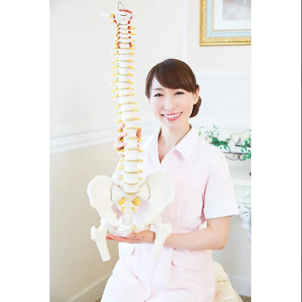 【新品】芦屋美整体　骨盤エアーリセットベルト 　ネイビー