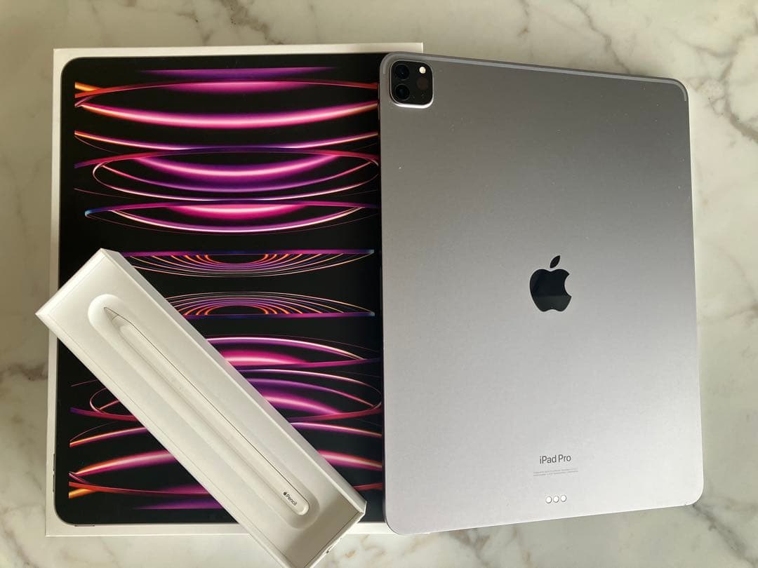 iPad Pro 12.9 6世代 Wi-Fi 256GB アップルペンシル付き