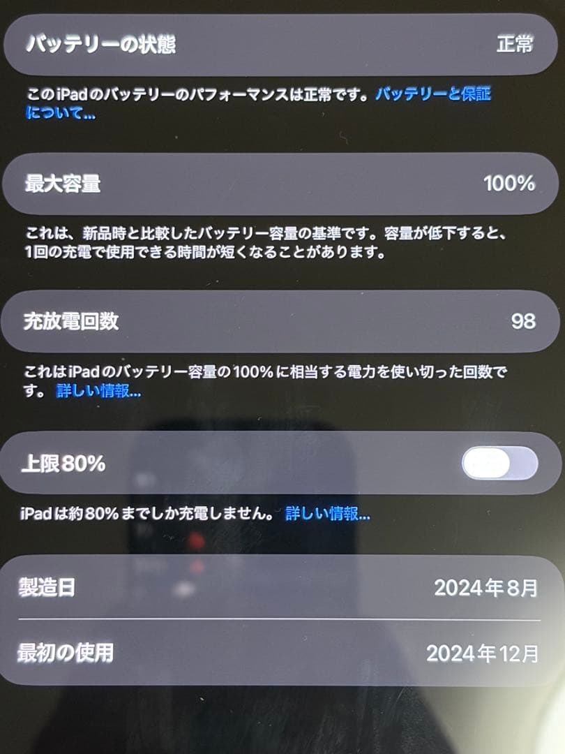 iPad Pro M4 256GB Wi-Fiセルラーモデル　バッテリー100%