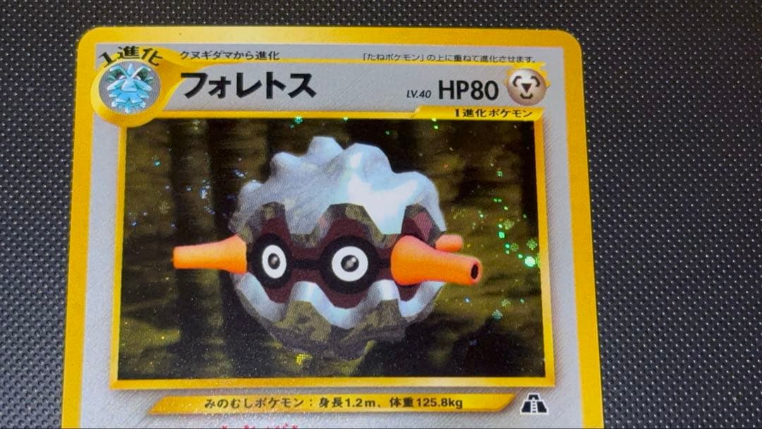 旧裏　ほぼ完美品　フォレスト　★neo 拡張パック　遺跡をこえて 渦巻きホロ