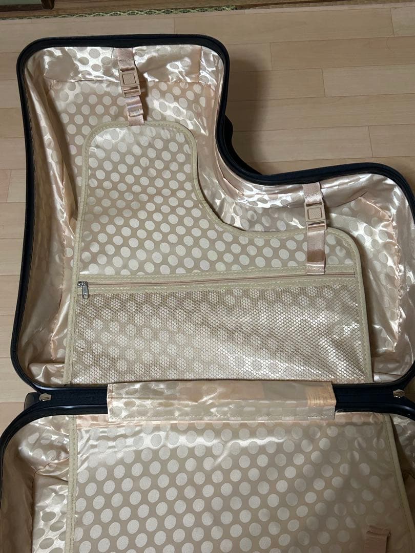 NORICCO ノリッコ 子どもが乗れるキャリーケース