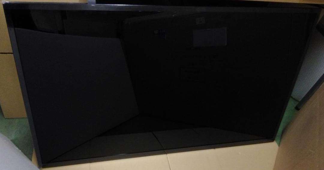 ディスプレイTV 50インチ ＜DIS-550＞ L1※モニタではございません