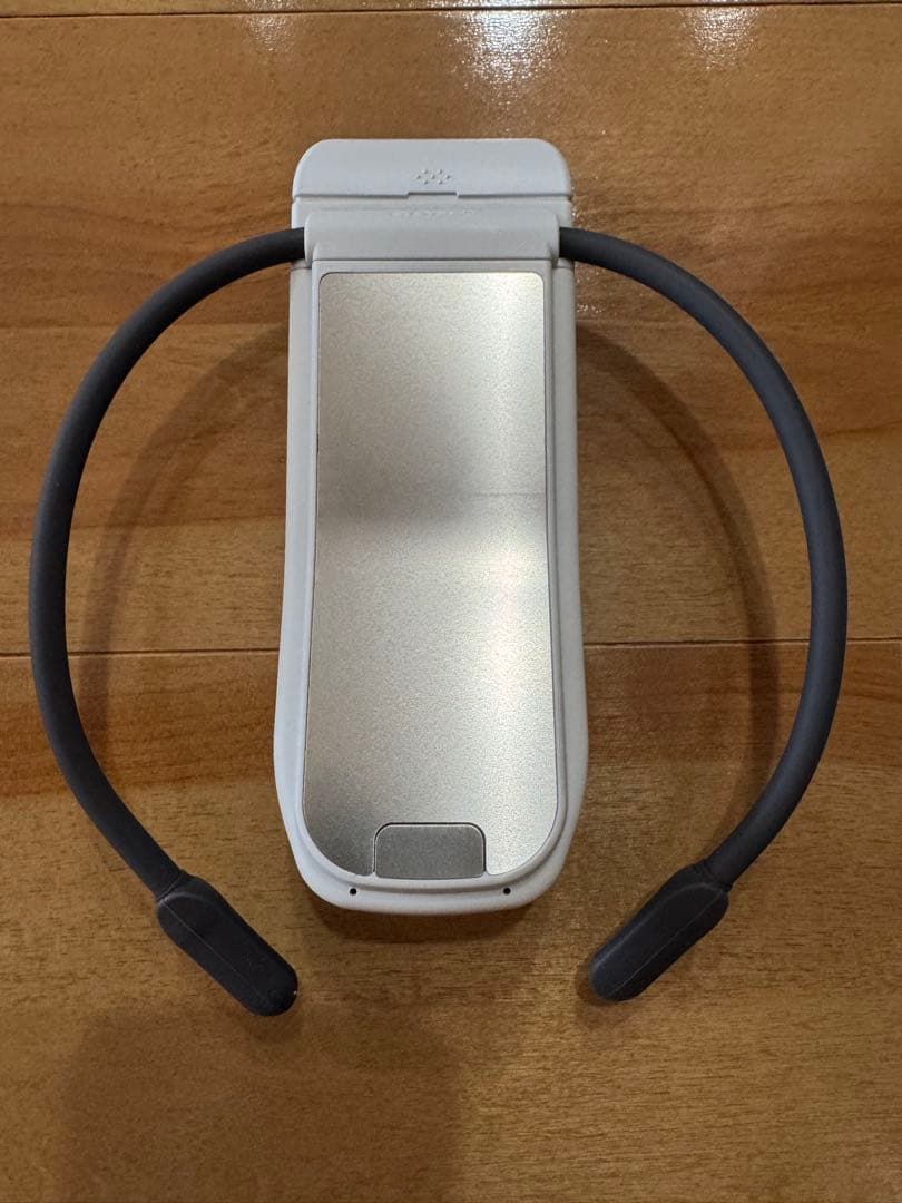 【美品】SONY REON POCKET PRO ネッククーラー