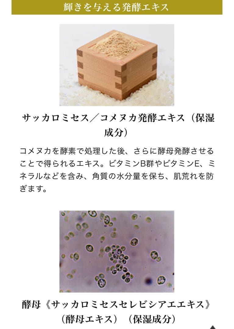 グローEXスキンケアセット 　　　（玄米酵素・新品未使用品）