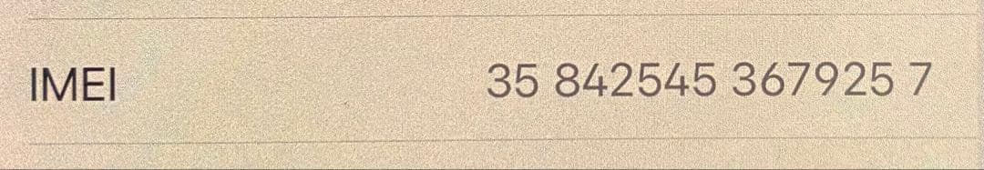 iPhone 13 本体