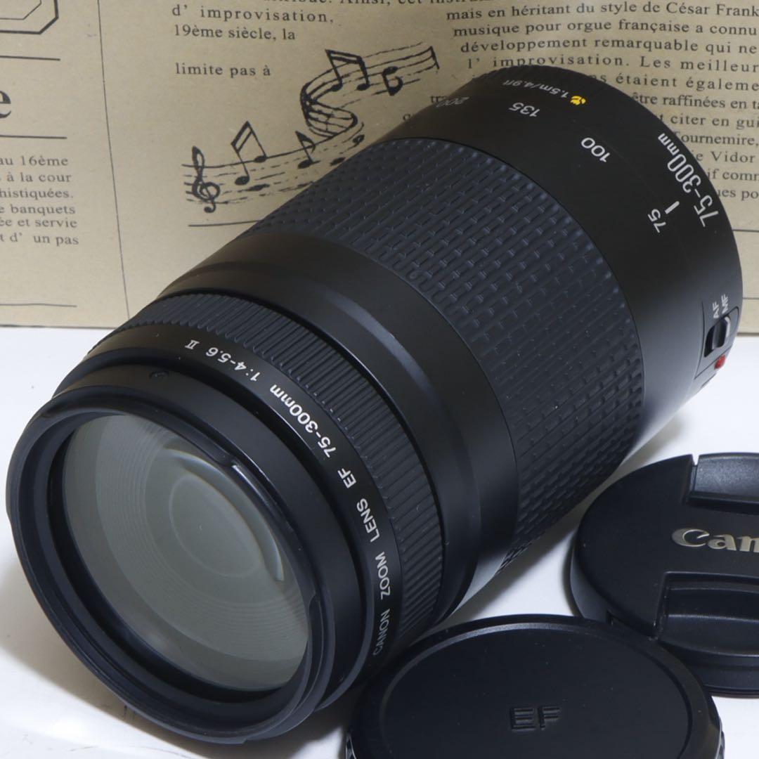 ◇ 大迫力300mm超望遠 ◇Canon純正 75-300mm II型 ◇
