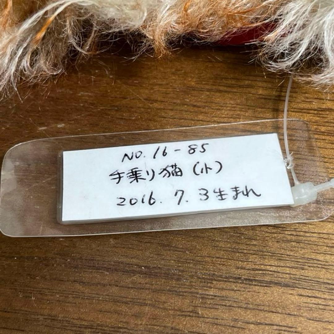 森脇由美子さま　mori's bear ぬいぐるみ　 手乗り猫　2016年製