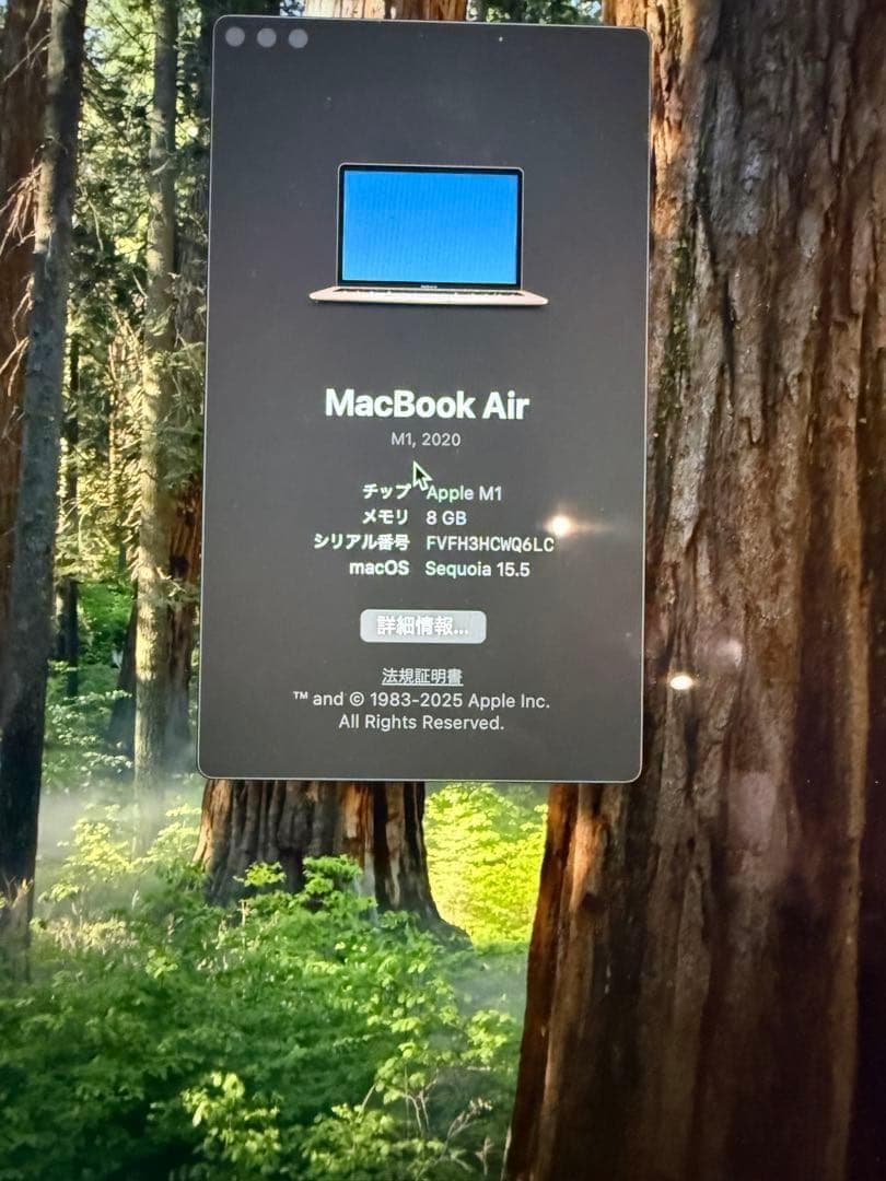 MacBook Air M1 2020 256GB メモリ8GB ローズゴールド