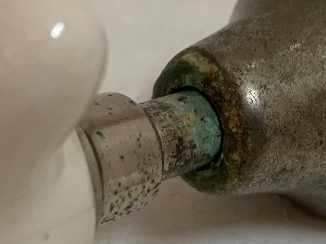 FRANCE ANTIQUE 1920年代 PORCHER PARIS 蛇口 F