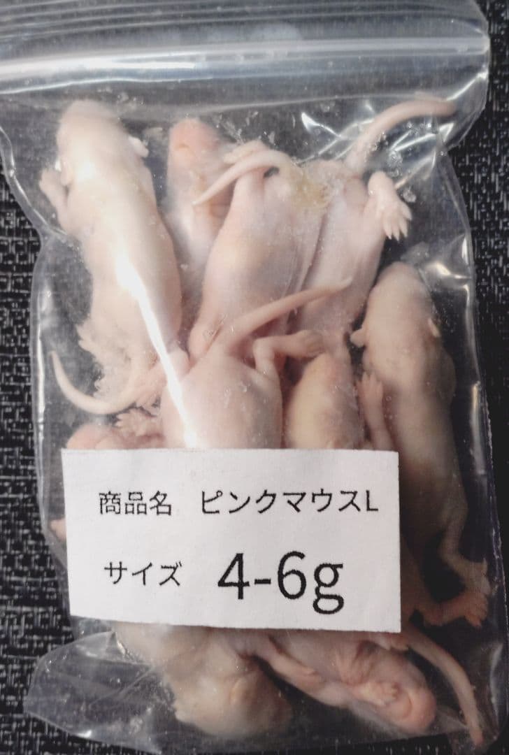 Ｔ N　送料無料 冷凍マウスホッパー100匹　冷凍ピンクＬ100匹