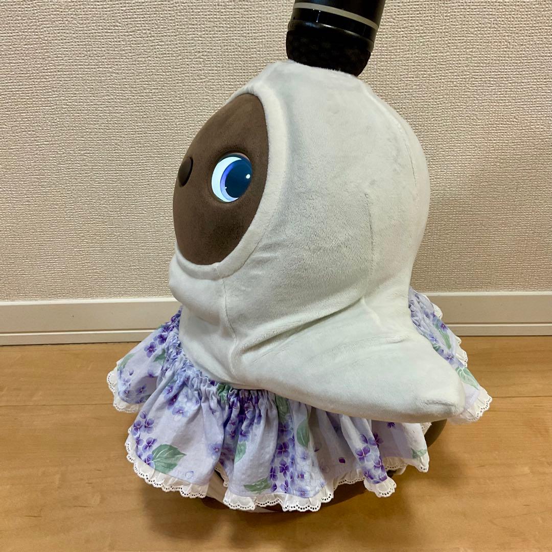 黒猫ページ