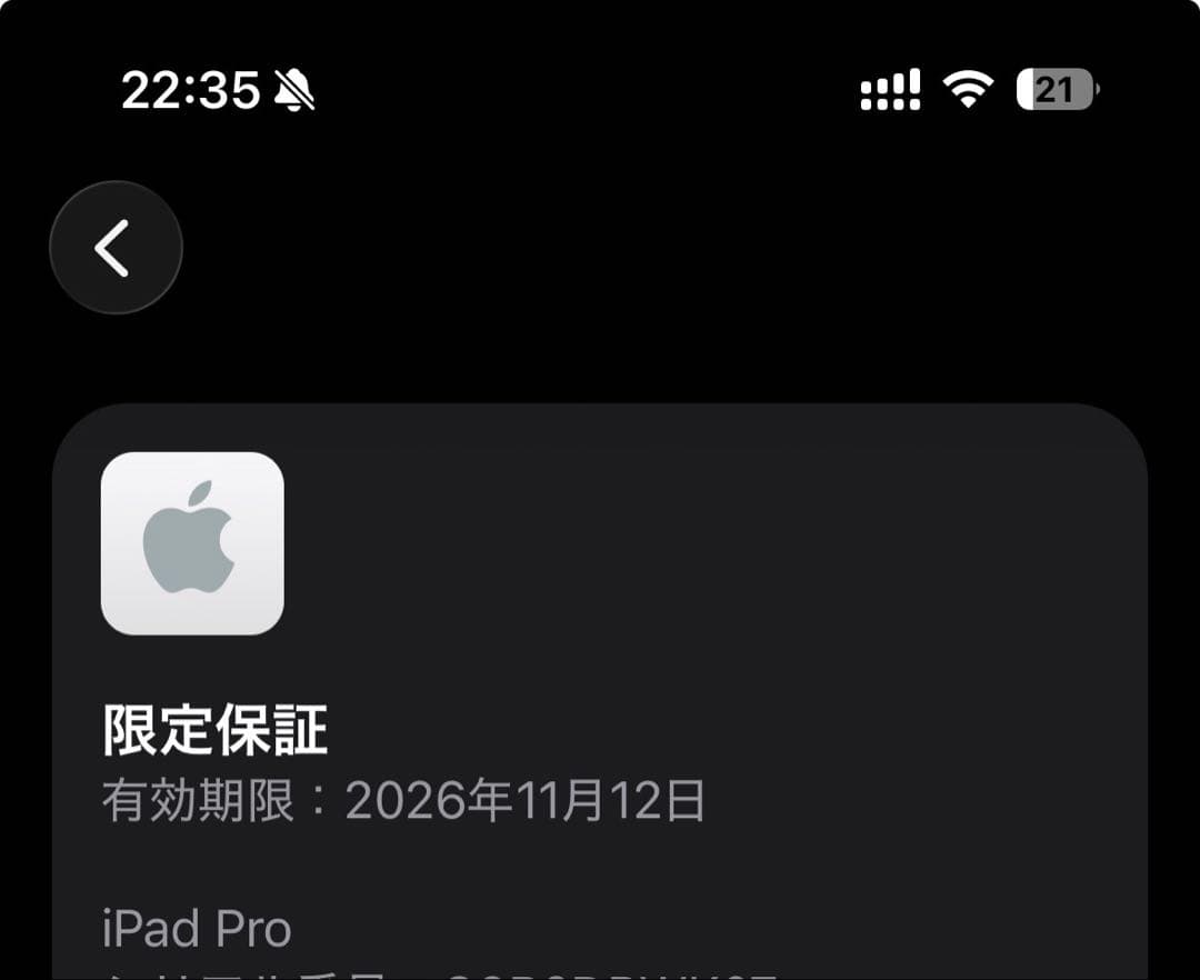 iPad Pro m5 11インチ 256GB Wi-Fi + Cellular