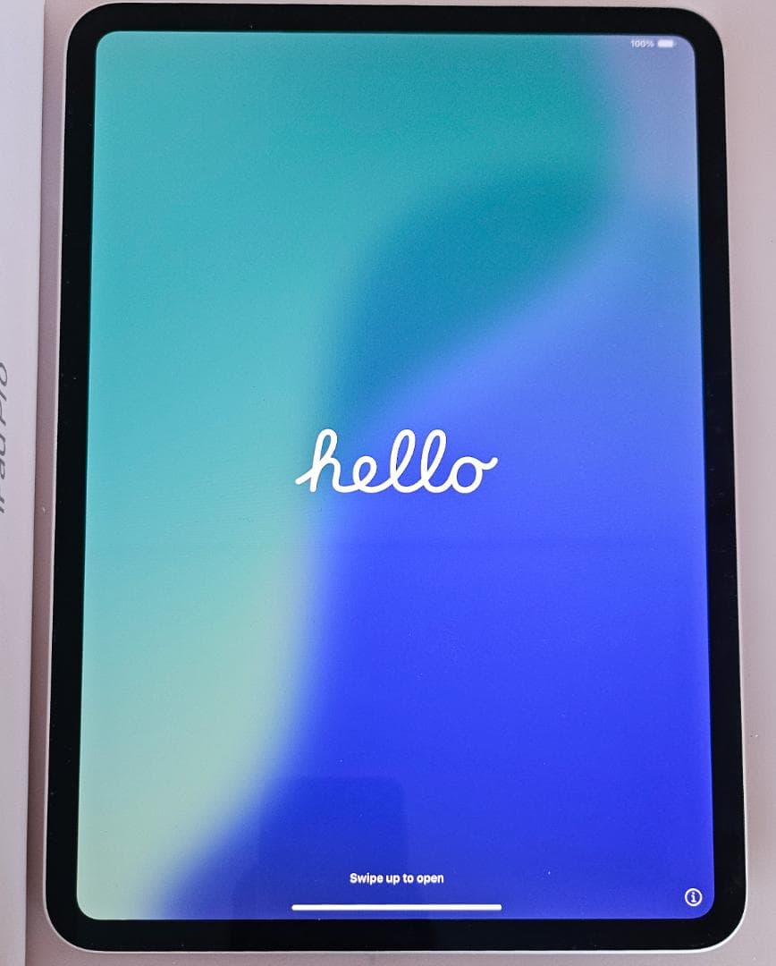 超美品 iPad Pro M4 11インチ 256GB WiFi 全付属品有 銀
