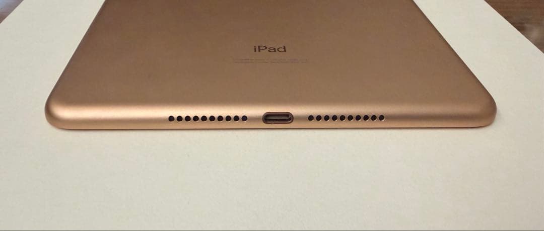 iPad mini (第5世代) 256GB WiFi バッテリー容量100%