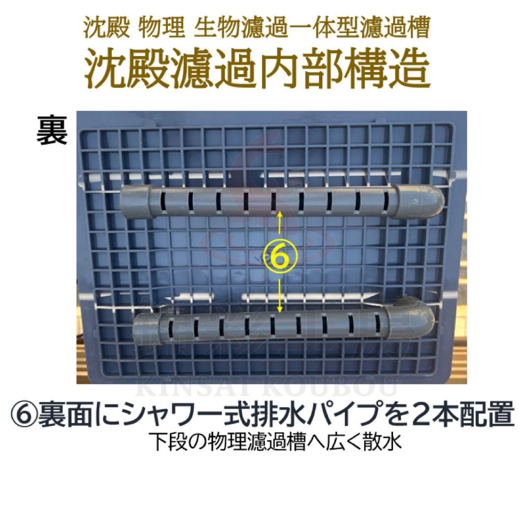 沈殿物理生物濾過一体型濾過槽 すぐに使えるフルセット ポンプ ろ材 ろ過マット
