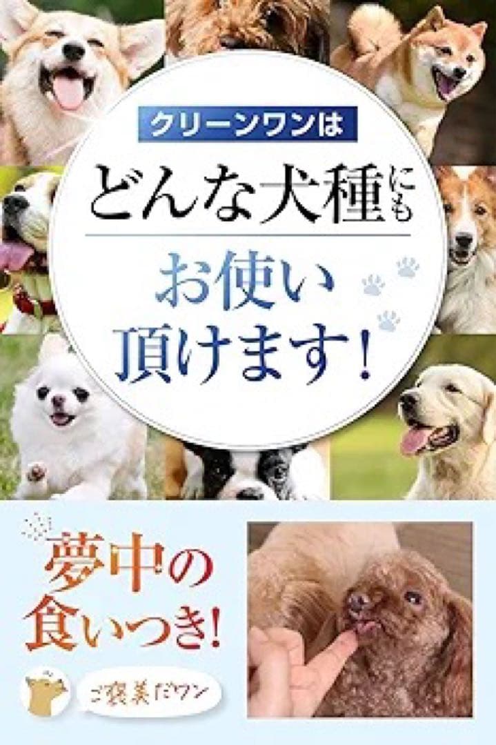CLEAN WAN 歯磨きジェル