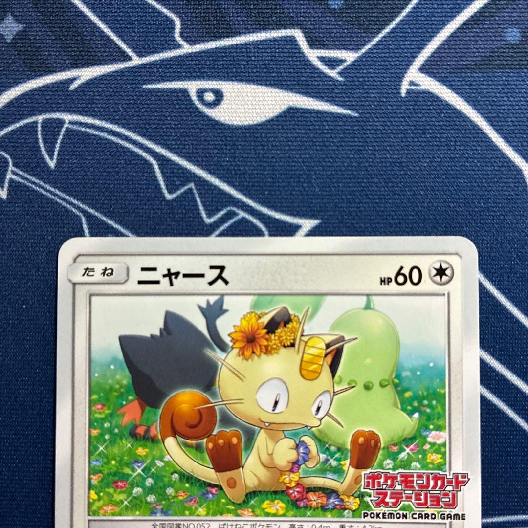 チコリータ/ニャビー/ニャース　ポケモンカードステーションプロモ