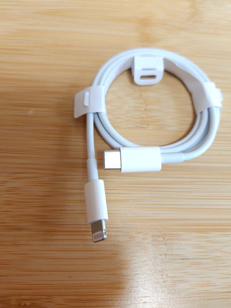 【動作画像有】iPod nano 第7世代 16GB シルバー　純正ケーブル付