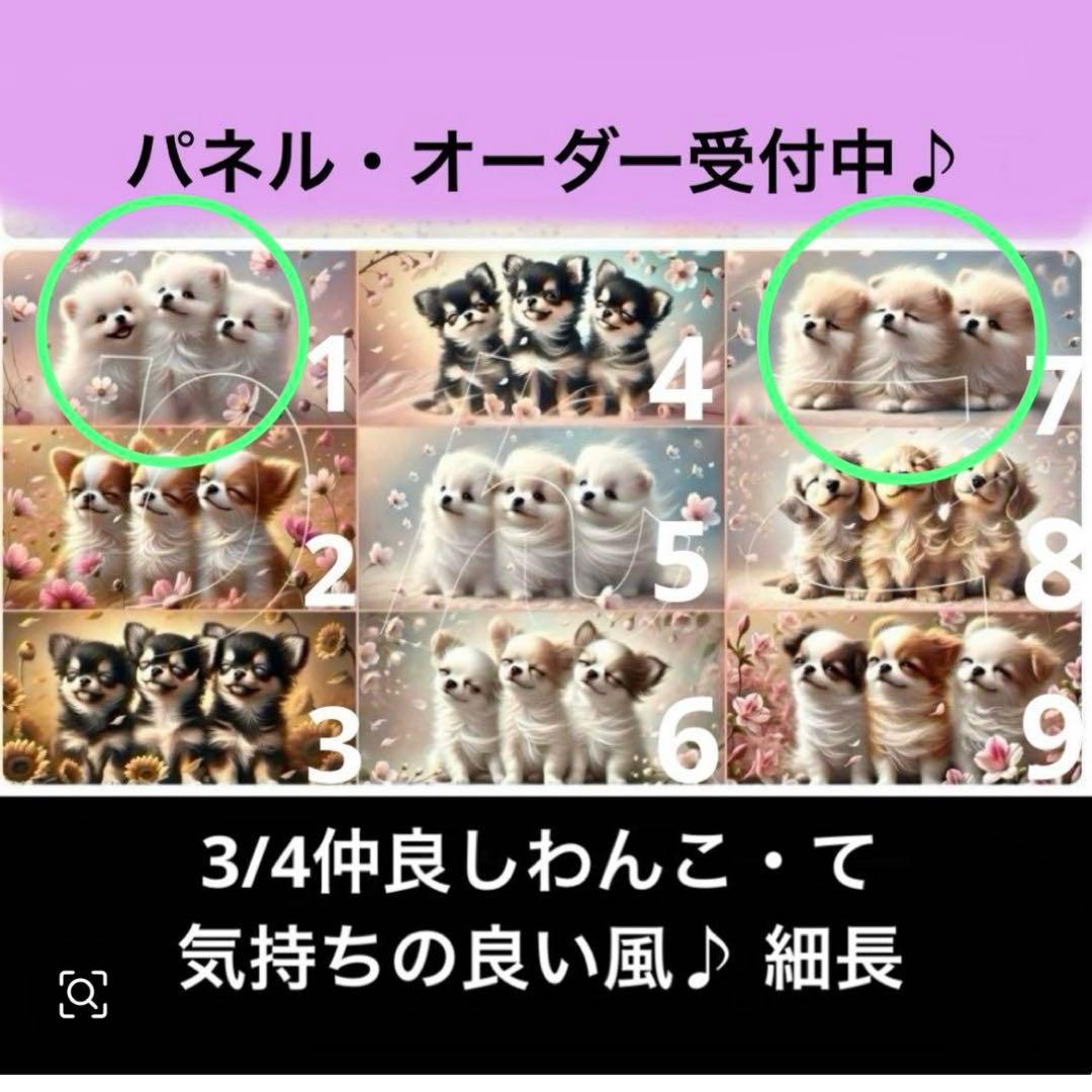 きゃんべる様