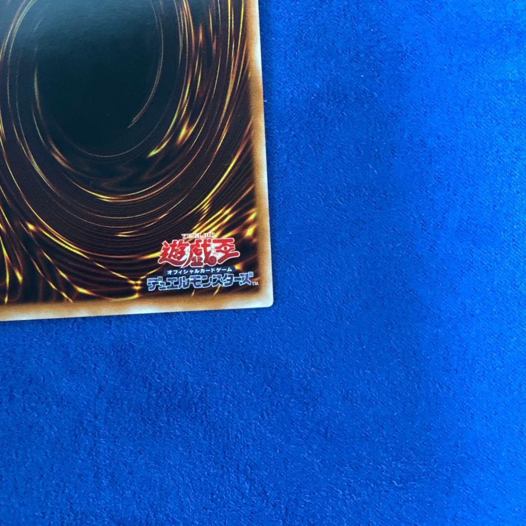 「美品」ブラック・ローズ・ドラゴン レリーフ