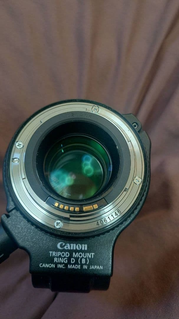 ホリCanon EF 100mm f/2.8L マクロレンズ