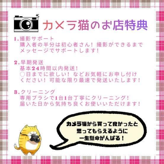 ✨ショット回数3742回✨お買い得✨Nikon D70 レンズセット