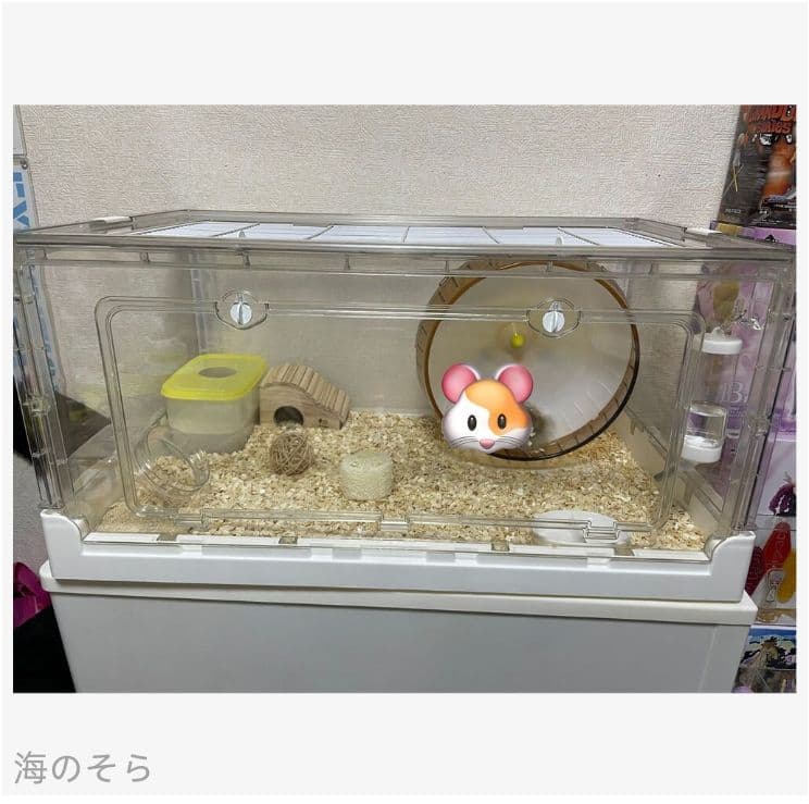 大型透明アクリルケージ 爬虫類・小動物兼用 70×43.5×34cm