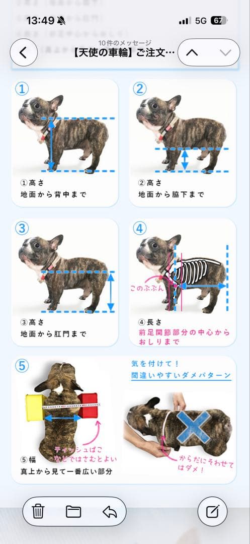 犬用車椅子 天使の車輪 オーダーメイド ダックス 小型犬 室内数回使用