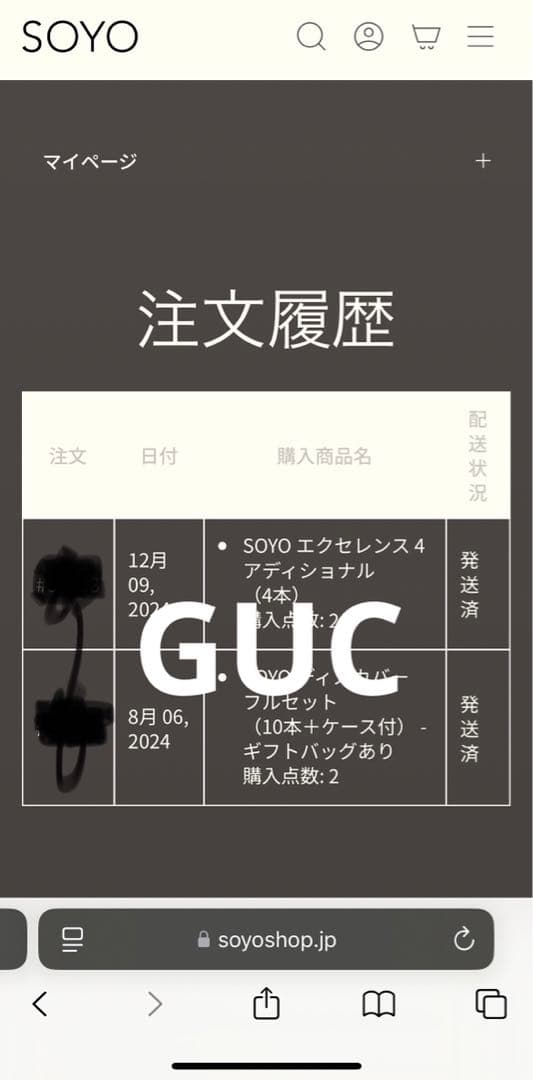 小田切ヒロ SOYOブラシ メイクブラシ +ブラシケース 熊野筆
