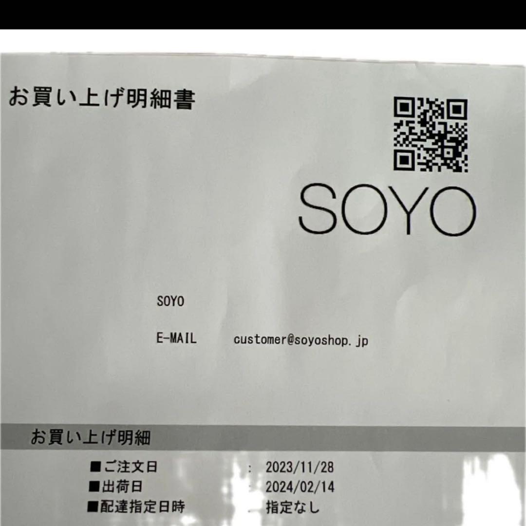 SOYO メイクブラシ ディスカバーフルセット〈10本➕ケース付き〉