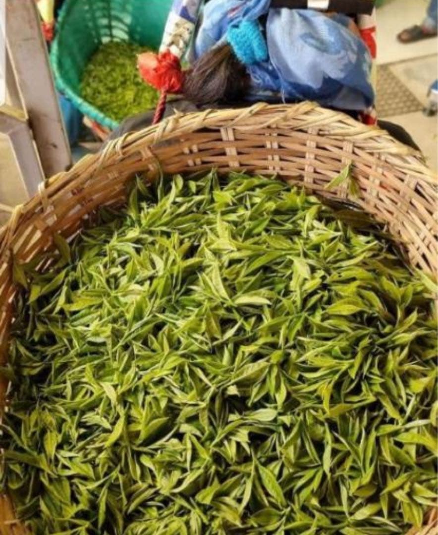 ネパール紅茶(アサブルーム プレミアムブラックティー 50g×6袋)