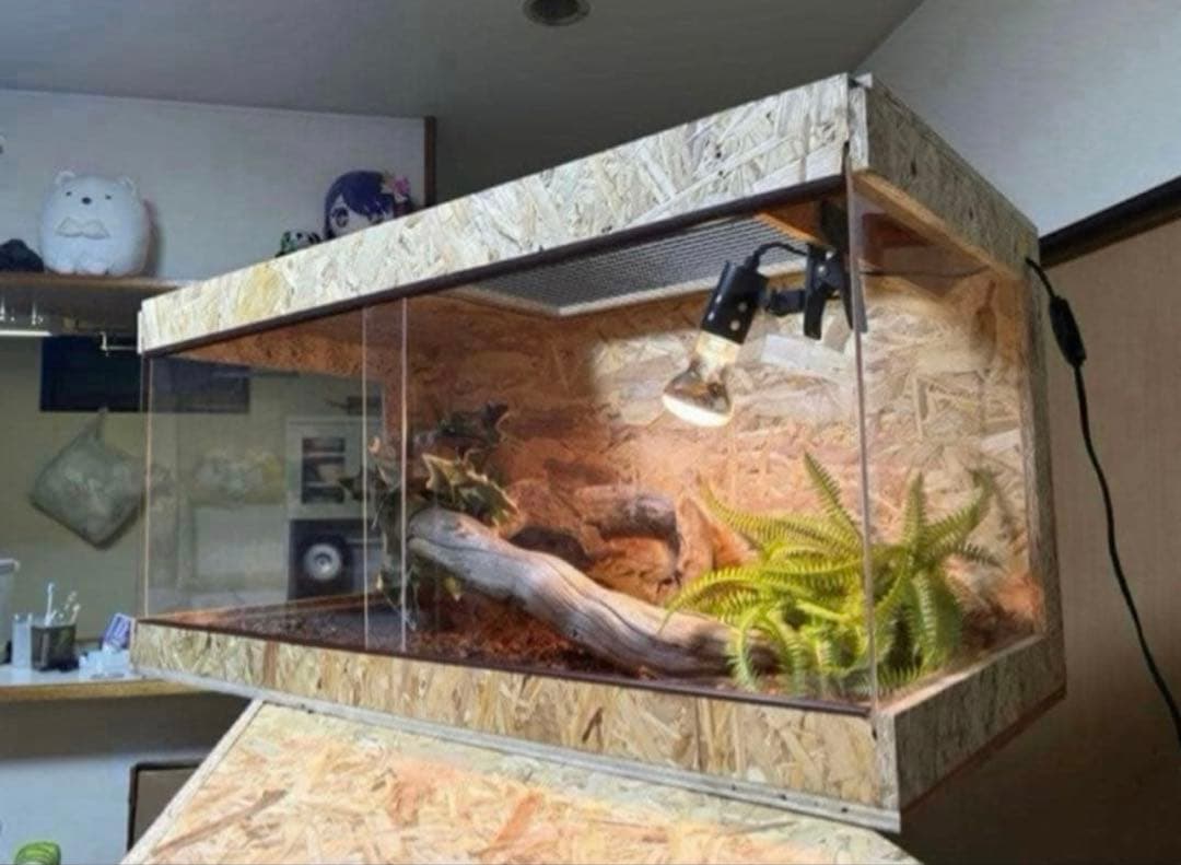 爬虫類ケージ 80×40×40 サイドアクリル　飼育ケージ ケージ 爬虫類