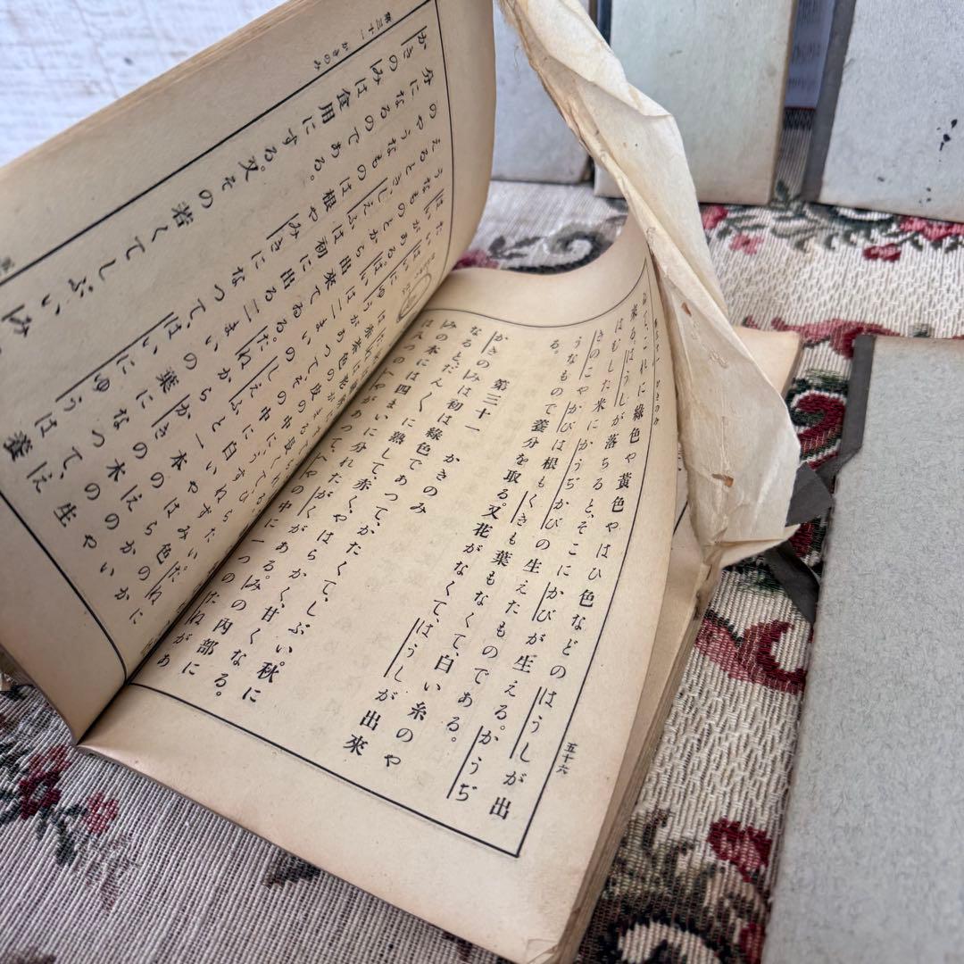 【激レア】明治44年 大正11年 尋常小学校 教科書 7冊文部省 理科 書き方