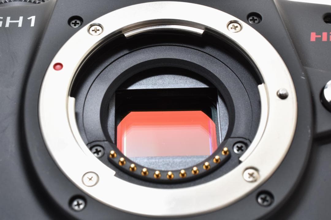 【美品】パナソニック LUMIX DMC-GH1 カメラ本体 #2806139