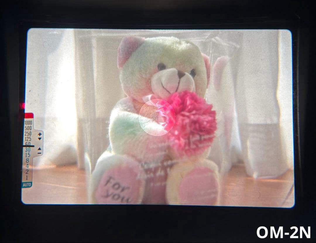 ★専用★ OLYMPUS OM-1N/2N
