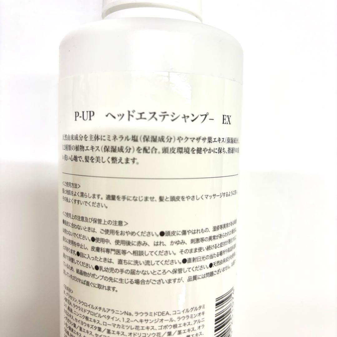 P-UP ヘッドエステシャンプー EX & クレア 水素イオン トリートメント