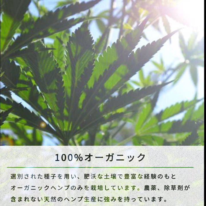 高濃度CBDジョイント　➓本 set✨