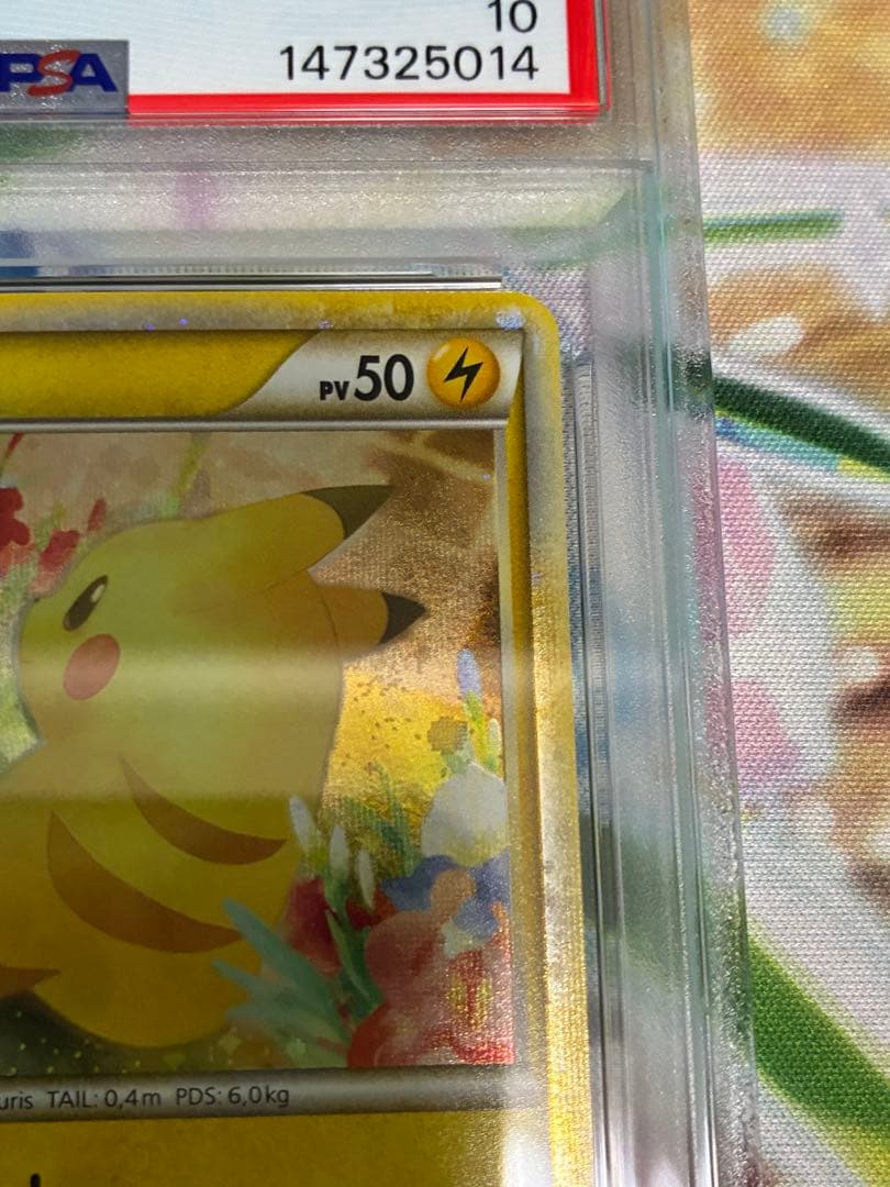 PSA10☆ピカチュウワールド ピカチュウ 2010年 プロモ フランス