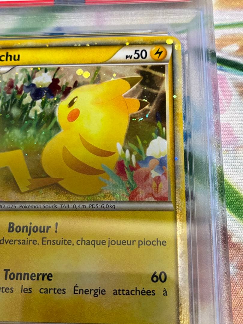 PSA10☆ピカチュウワールド ピカチュウ 2010年 プロモ フランス