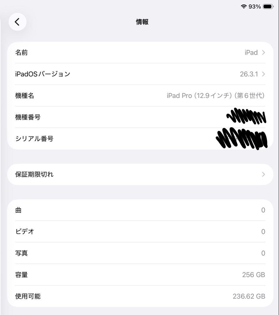 Apple iPad Pro 12.9 インチ　第6世代　Wifiモデル　256