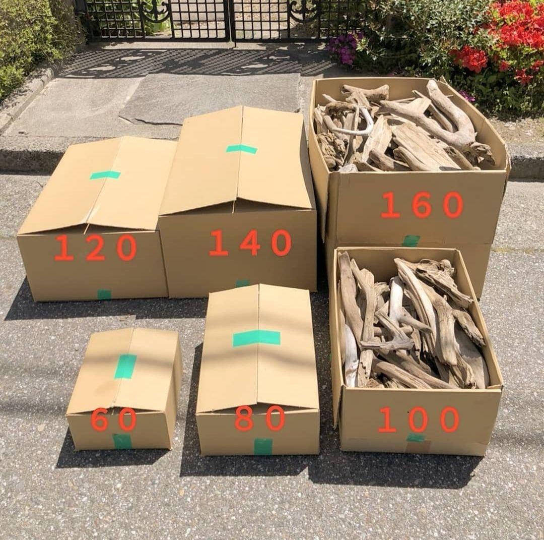送料無料 ●天然流木●おまかせアソート箱詰めお得格安セット（120サイズ）