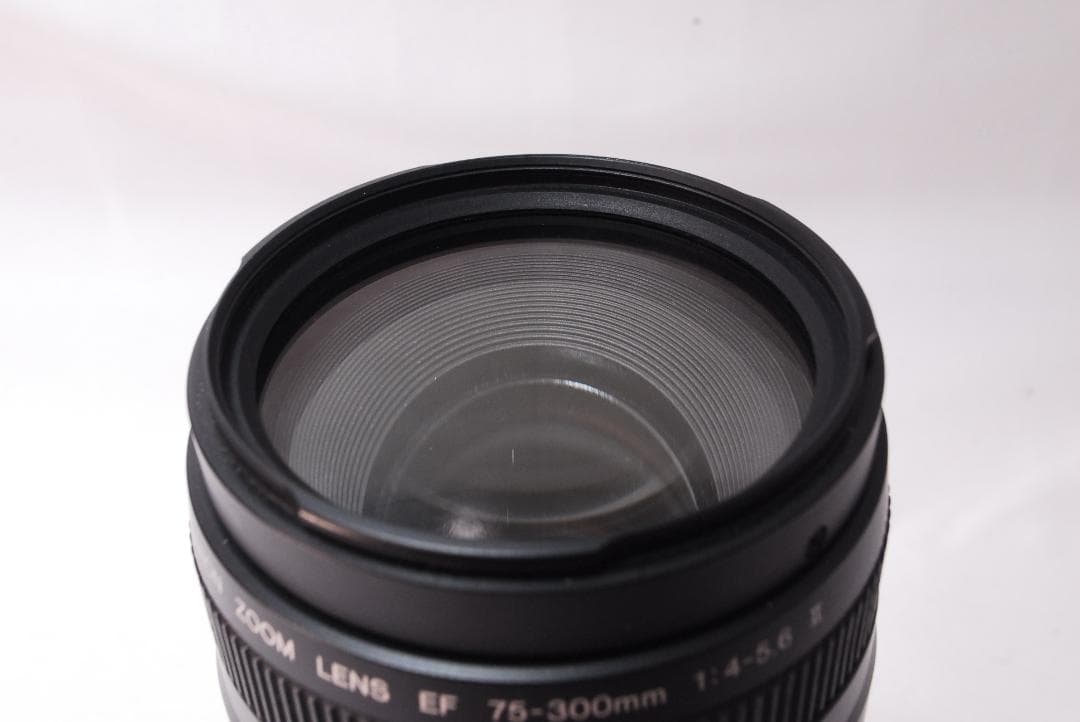 ✨大人気望遠レンズ✨Canon EF 75-300mm F4-5.6 Ⅱ