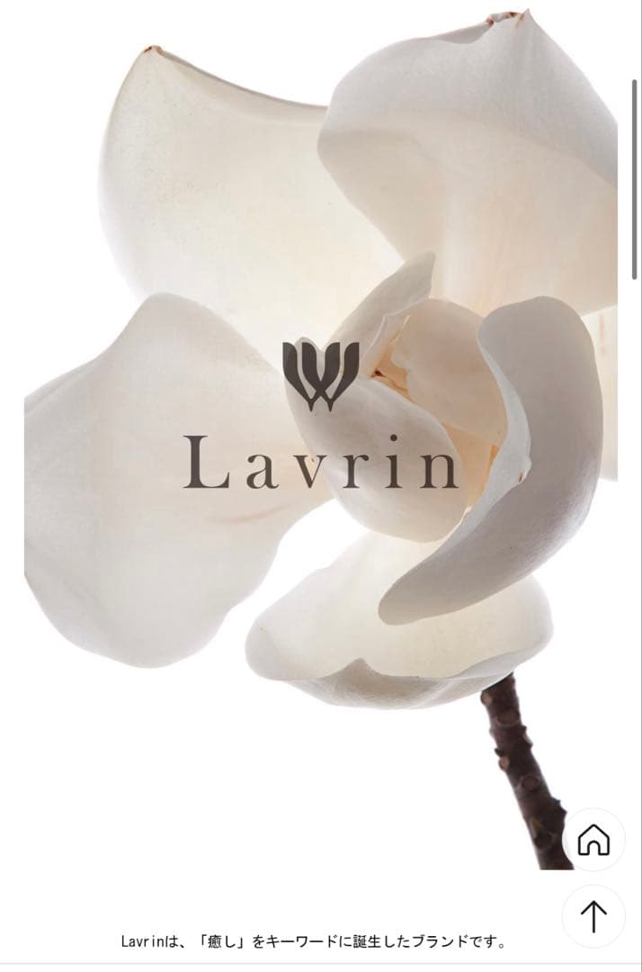 Lavrin ハイドロ モイスチャライジング クリーム 150g ラブリン 1個
